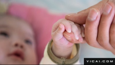  地方财政如何破解民生保障难题：多省份预算结构优化路径分析 新闻