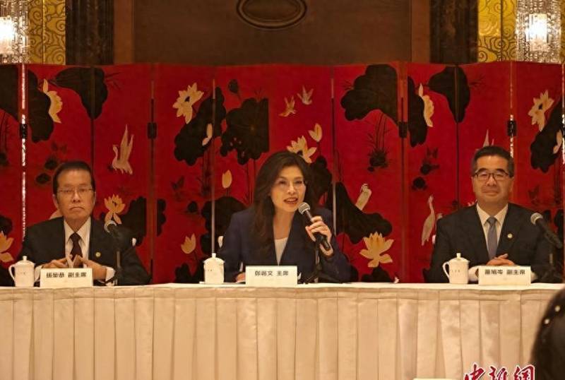 从虹桥到中南海：郑丽文六天大陆行背后的战略逻辑与技术解码