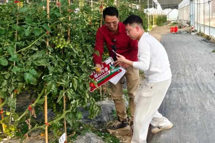  青春担当·青年力量：厦门青年突击队点燃重点项目攻坚引擎 新闻