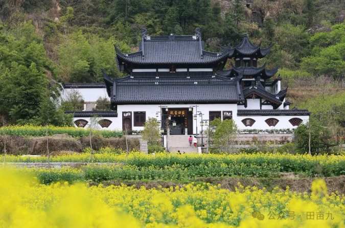  那个走出90多位进士的小山村，让无数家长破防了 情感心理