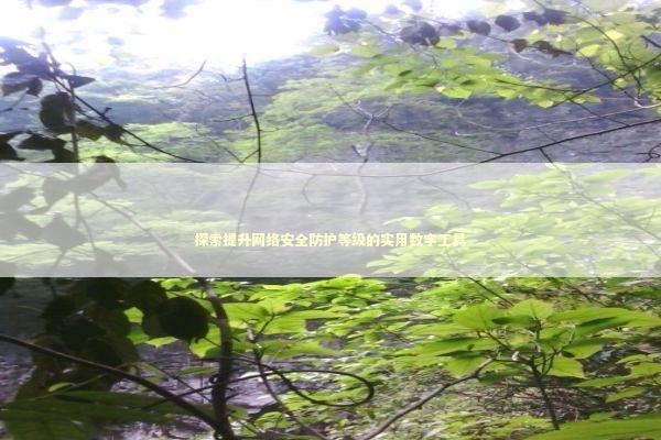 探索提升网络安全防护等级的实用数字工具