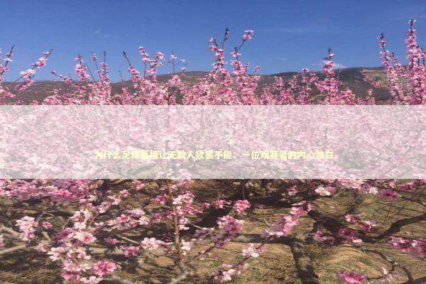 为什么足球直播让无数人欲罢不能：一位观赛者的内心独白