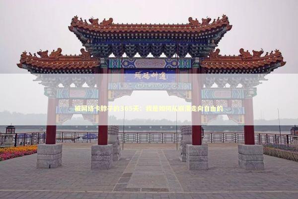 被网络卡脖子的365天：我是如何从崩溃走向自由的