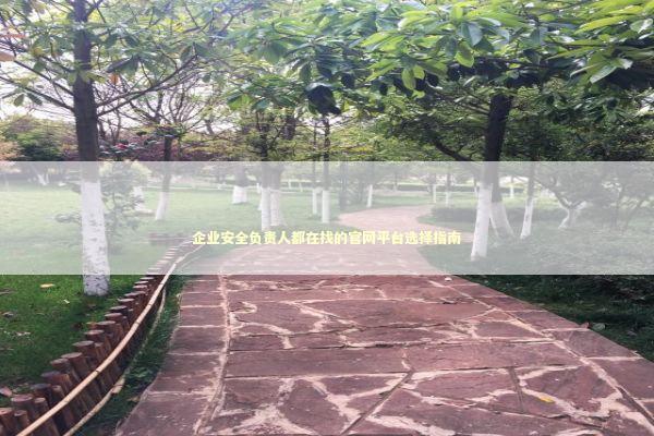 企业安全负责人都在找的官网平台选择指南