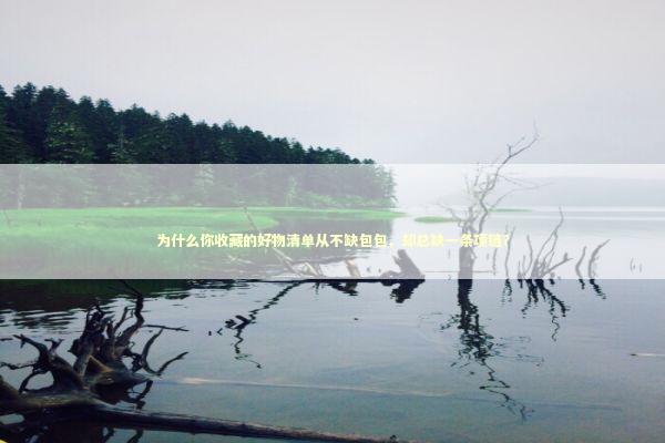 为什么你收藏的好物清单从不缺包包，却总缺一条项链？ 时尚用品